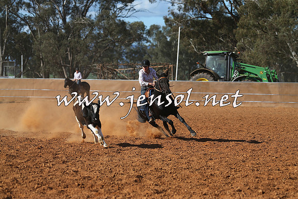 IllaboCampdraft2015_5689