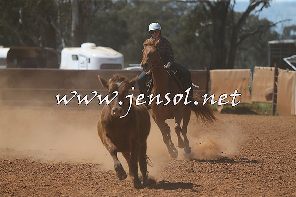 IllaboCampdraft2015_5335