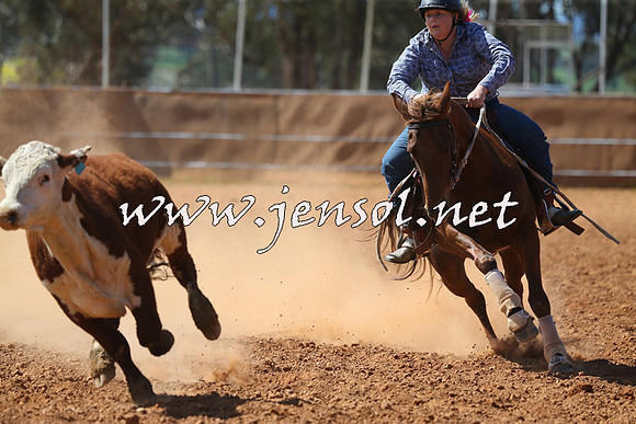 IllaboCampdraft2015_5355