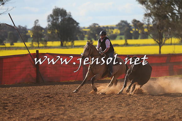 IllaboCampdraft2015_5748