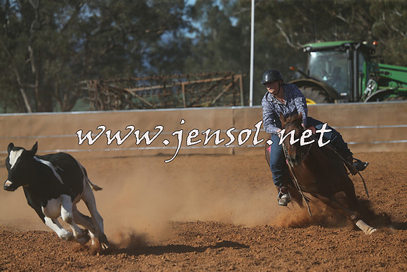 IllaboCampdraft2015_5816