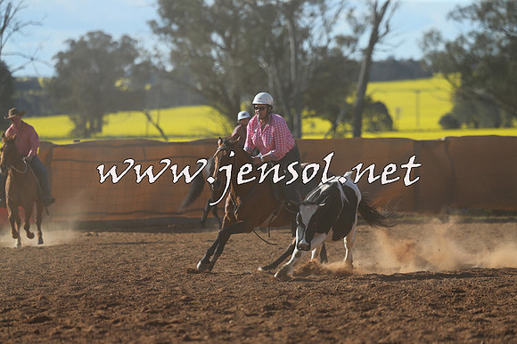 IllaboCampdraft2015_5763