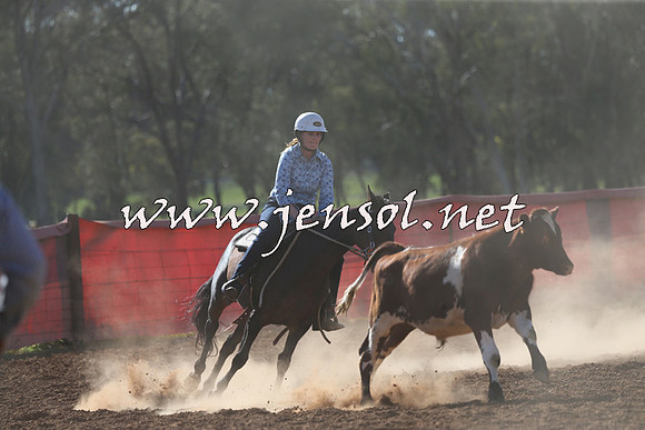 IllaboCampdraft2015_5707