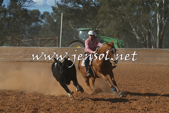 IllaboCampdraft2015_5798
