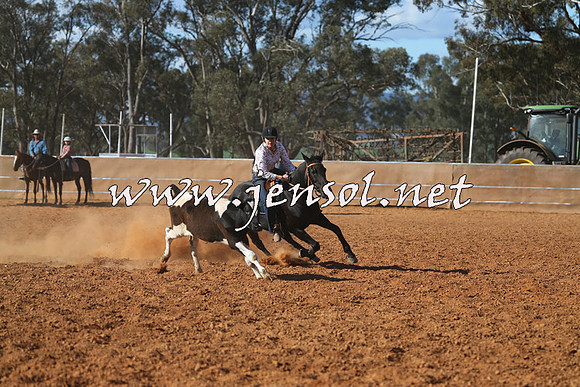 IllaboCampdraft2015_5693