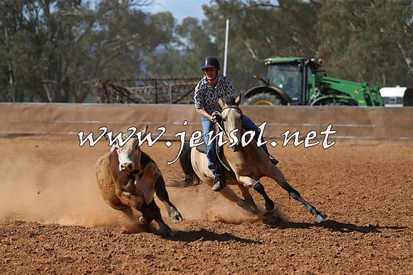 IllaboCampdraft2015_5506