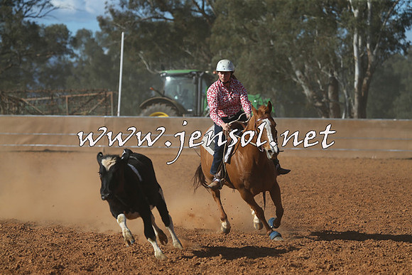 IllaboCampdraft2015_5809