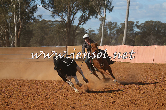 IllaboCampdraft2015_5719