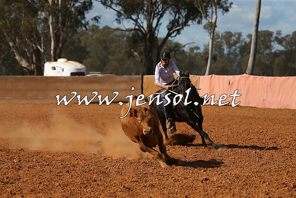 IllaboCampdraft2015_5539