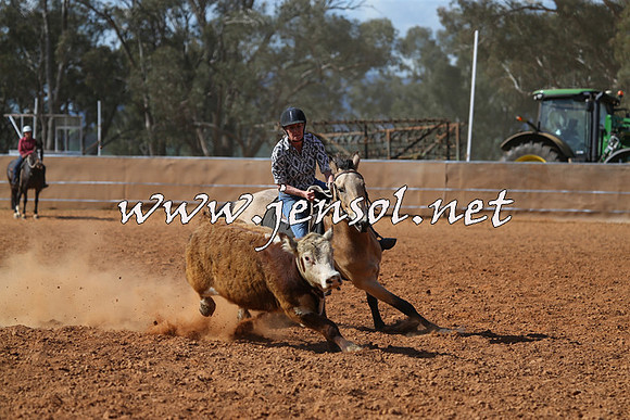 IllaboCampdraft2015_5514