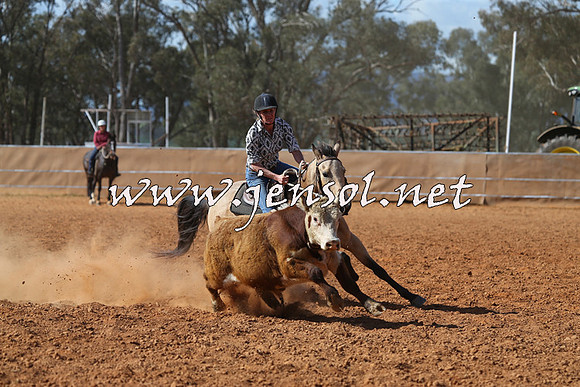 IllaboCampdraft2015_5512