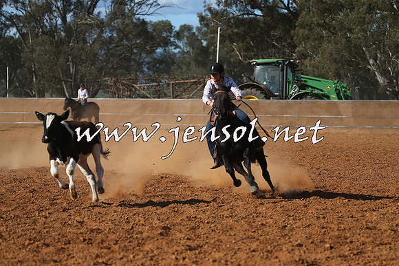 IllaboCampdraft2015_5695