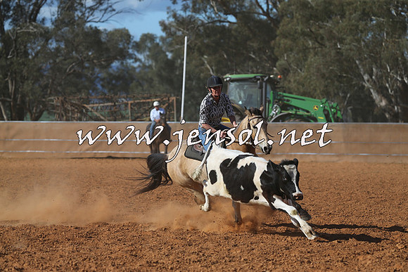 IllaboCampdraft2015_5615