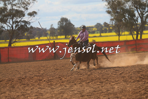 IllaboCampdraft2015_5585