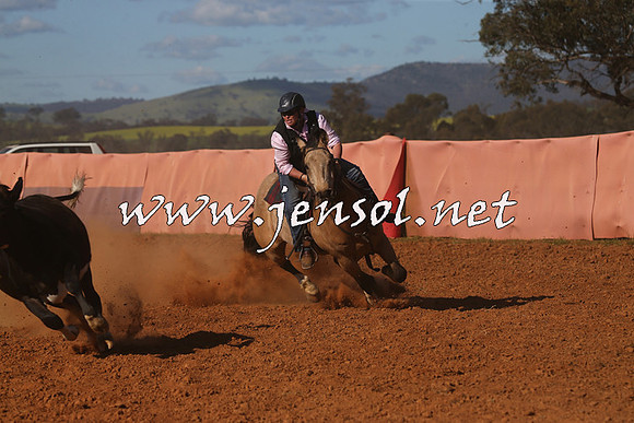 IllaboCampdraft2015_5735