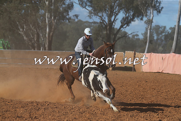 IllaboCampdraft2015_5833