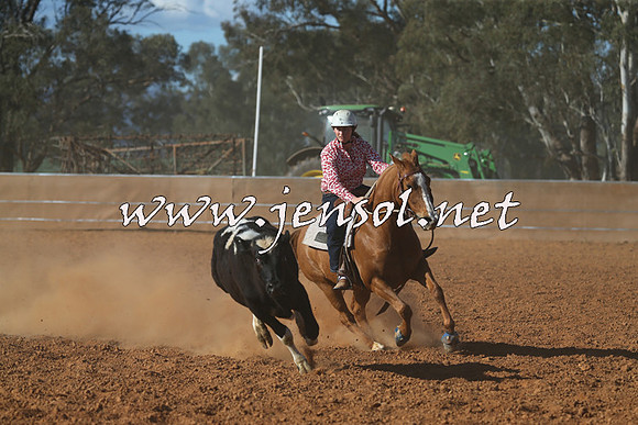 IllaboCampdraft2015_5799