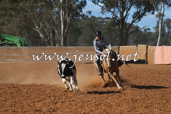 IllaboCampdraft2015_5773