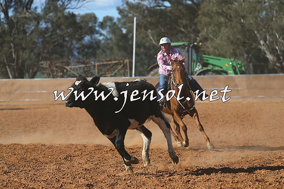 IllaboCampdraft2015_5751