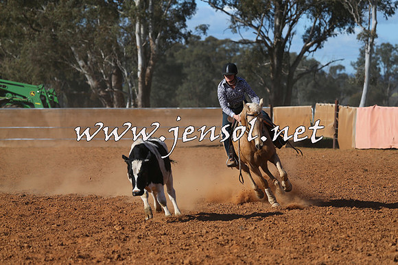 IllaboCampdraft2015_5782