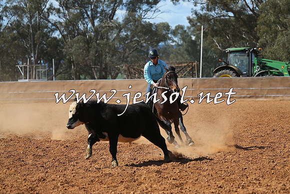 IllaboCampdraft2015_5466