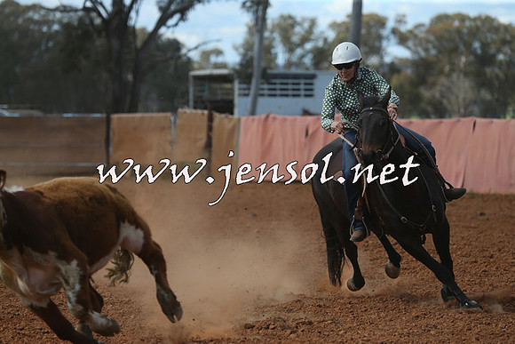 IllaboCampdraft2015_5431
