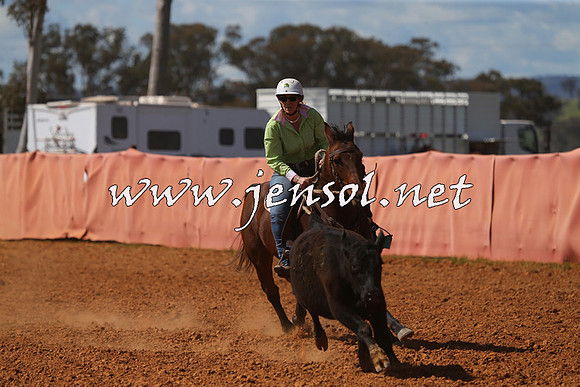 IllaboCampdraft2015_5370