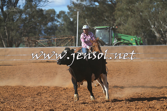 IllaboCampdraft2015_5749
