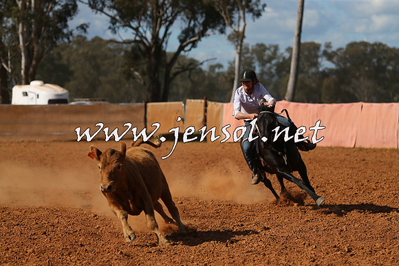 IllaboCampdraft2015_5537