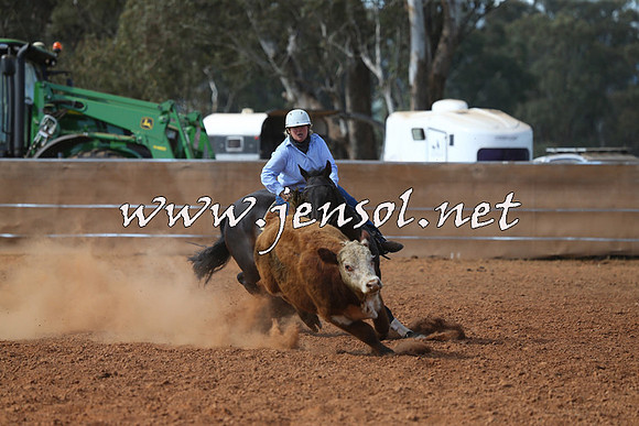 IllaboCampdraft2015_5457