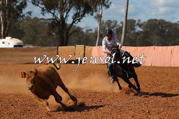 IllaboCampdraft2015_5536