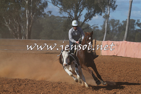 IllaboCampdraft2015_5834