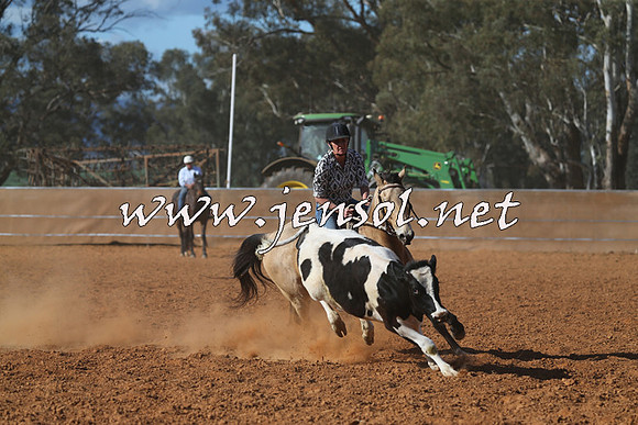 IllaboCampdraft2015_5614
