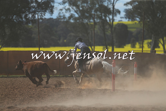 IllaboCampdraft2015_5477