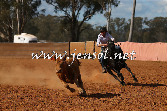 IllaboCampdraft2015_5541