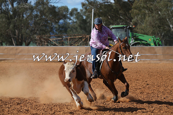 IllaboCampdraft2015_5563