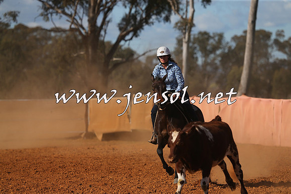 IllaboCampdraft2015_5715