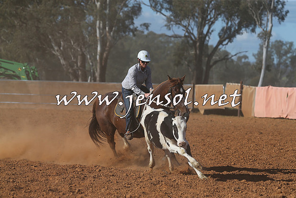 IllaboCampdraft2015_5835