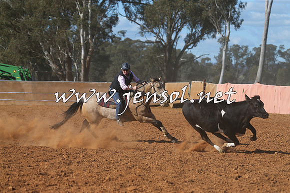IllaboCampdraft2015_5738