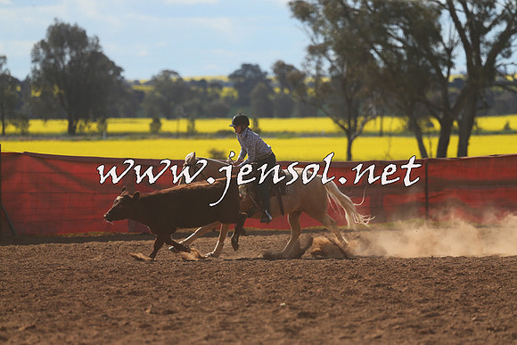 IllaboCampdraft2015_5489
