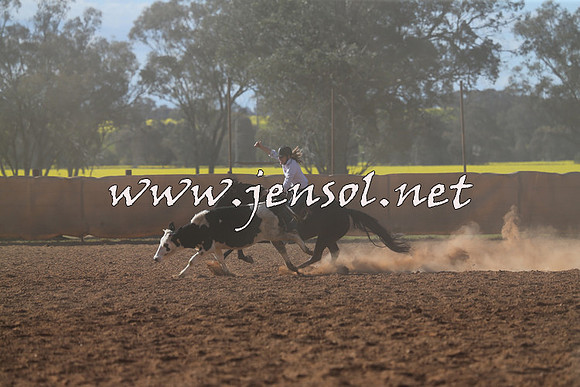 IllaboCampdraft2015_5663