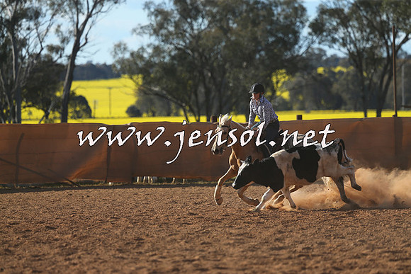 IllaboCampdraft2015_5797