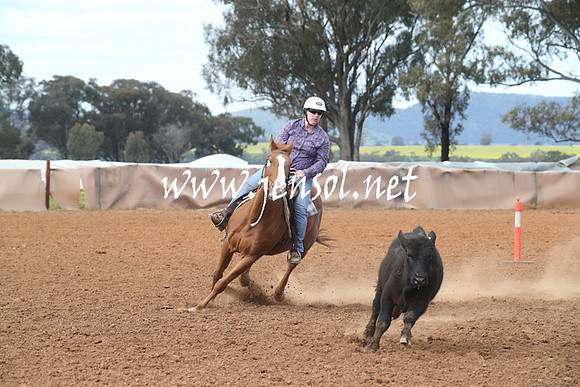 IllaboSun_0784