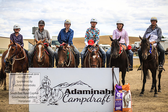 AdaminabyCampdraft2019_1282