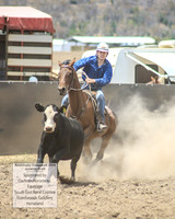 AdaminabyCampdraft2019_1149