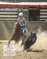 AdaminabyCampdraft2019_1240