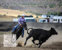 AdaminabyCampdraft2019_1218