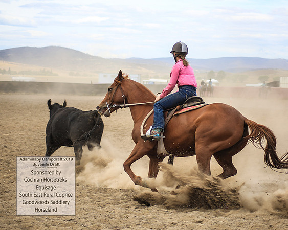 AdaminabyCampdraft2019_1216
