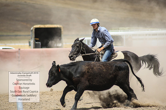 AdaminabyCampdraft2019_1278