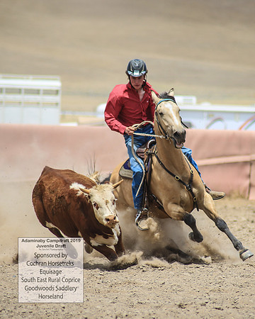 AdaminabyCampdraft2019_1162